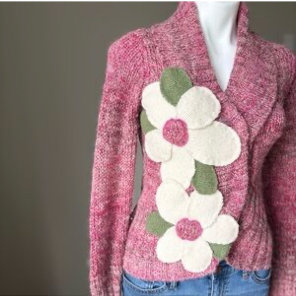 Anthropologie’s Field Flower brand  chunky knit cardigan (Sz S)